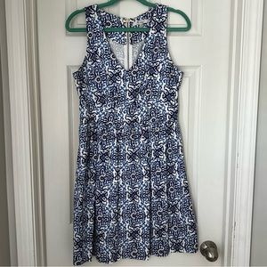 Blue and White Dress